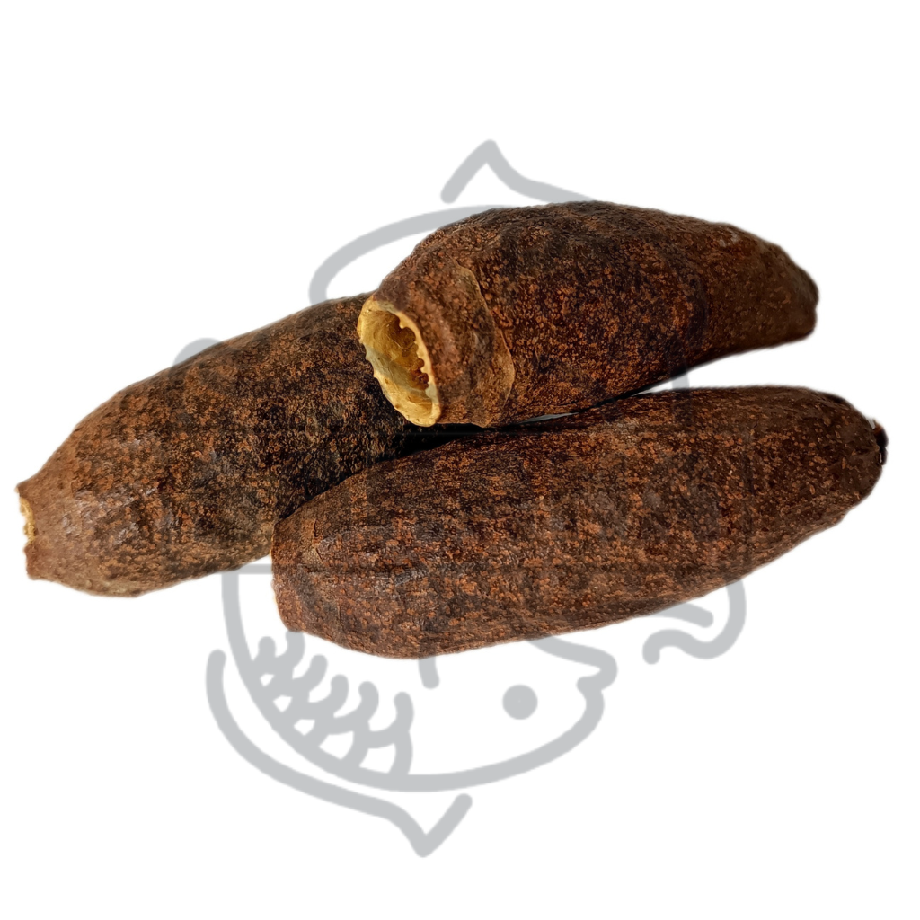 Cariniana - pack of 3 units