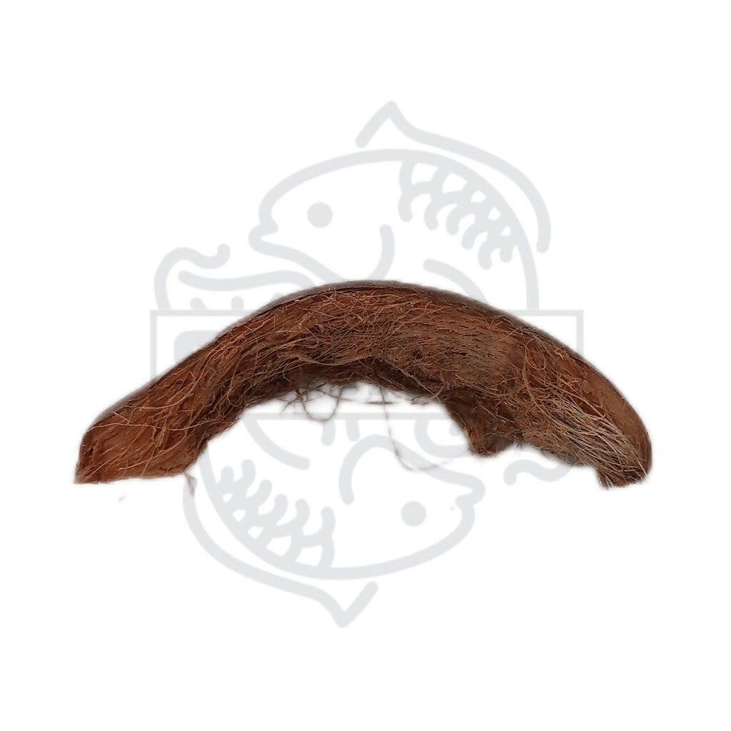 Natural coconut shell - 1 unit