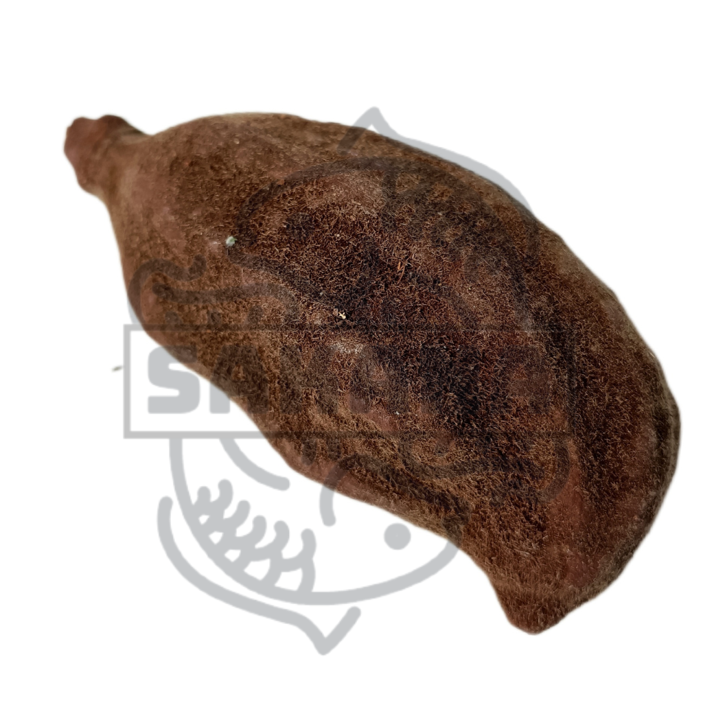 Baobab fruit - 1 unit