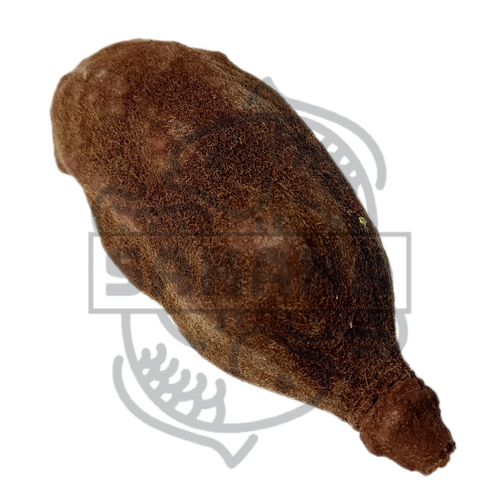 Baobab fruit - 1 unit