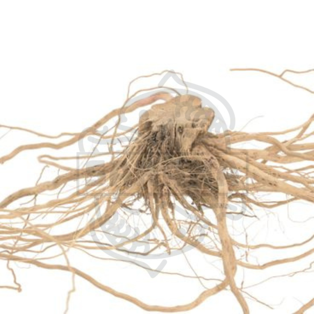 Mini Root - 1 unidad