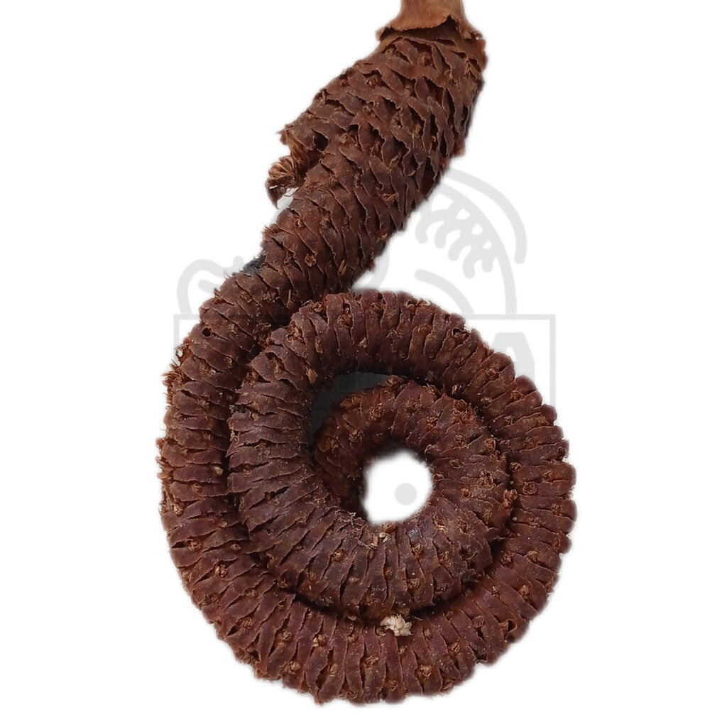 Palm ring - 1 unit