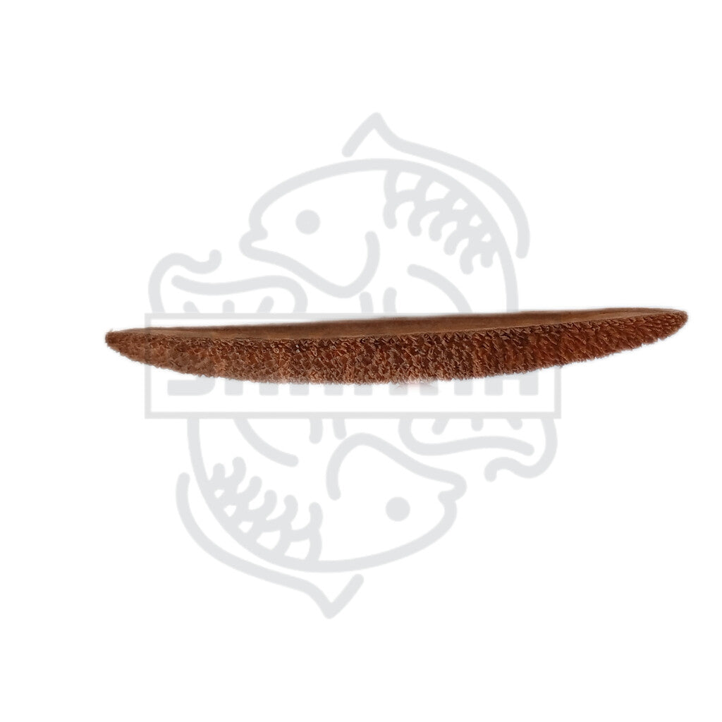 Pente Macao - pack of 1 and 3 units