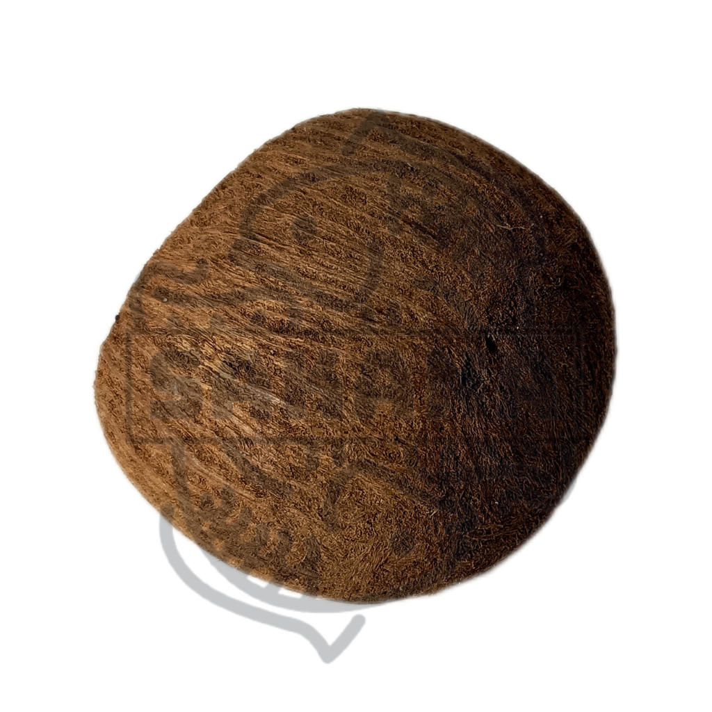 Toddy Palm - 1 unit