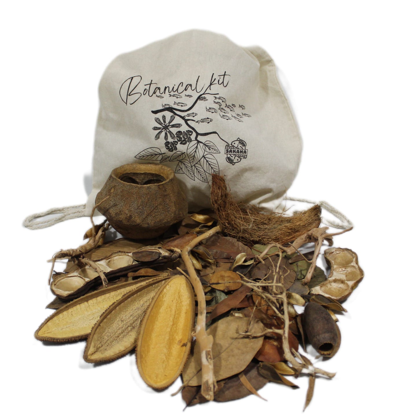 Alan Albiach Discus Pack | Sakana Botanicals
