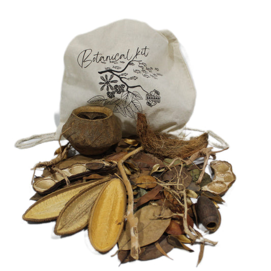 Alan Albiach Discus Pack | Sakana Botanicals