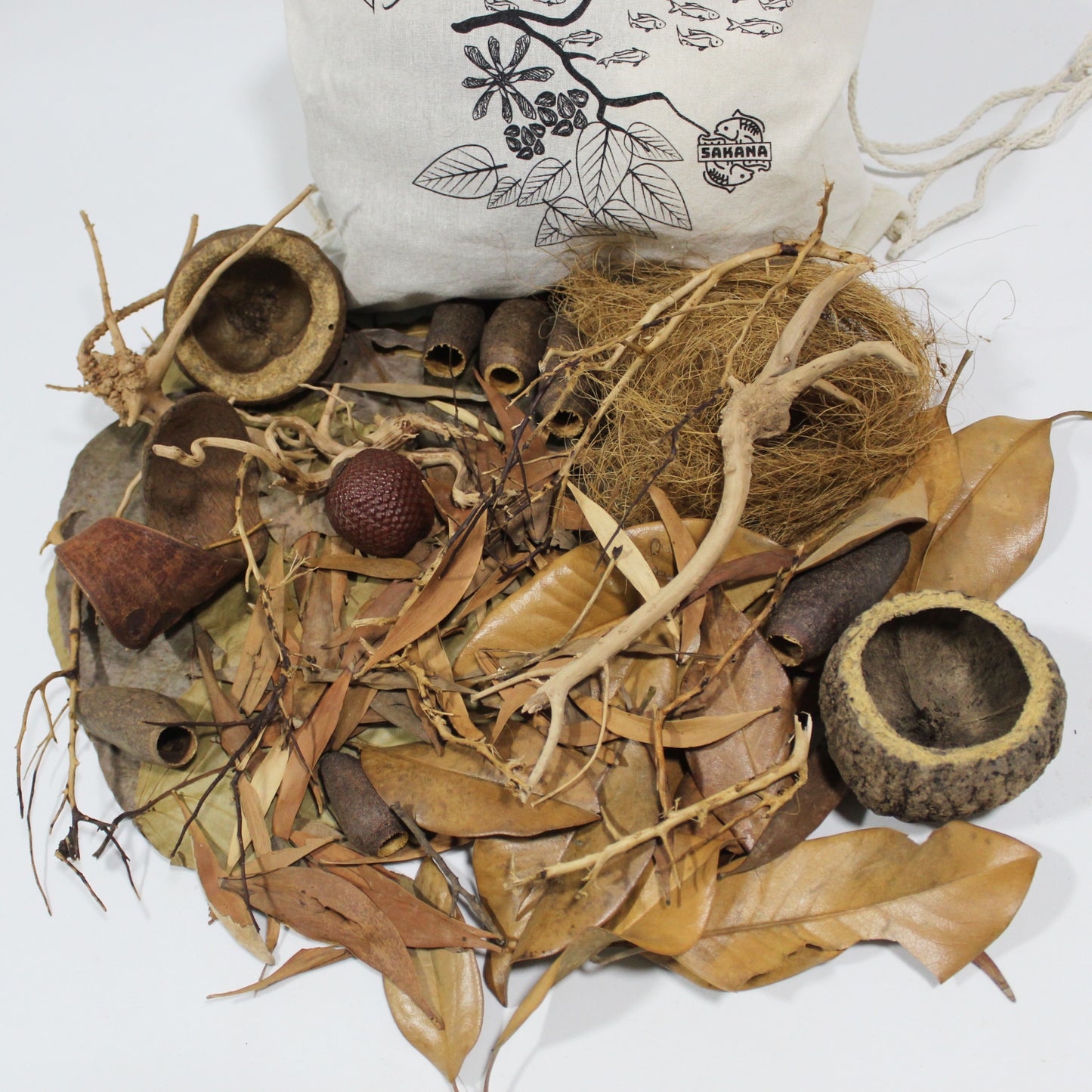 Apistogramma Pack | Sakana Botanicals
