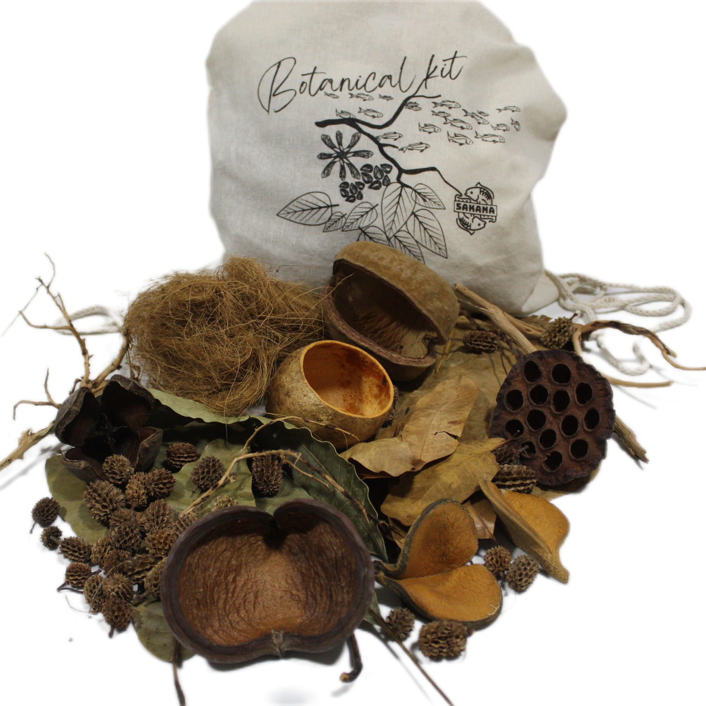 Betta Pack | Sakana Botanicals