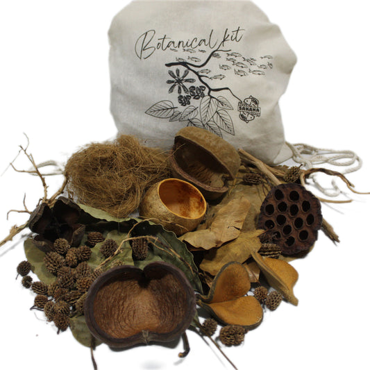 Betta Pack | Sakana Botanicals