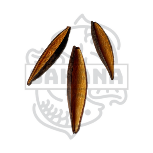 Canoinhas - pack de 3 unidades