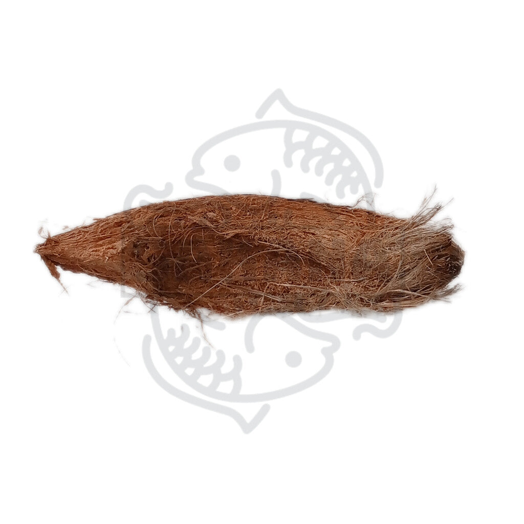 Cáscara de coco natural - 1 unidad