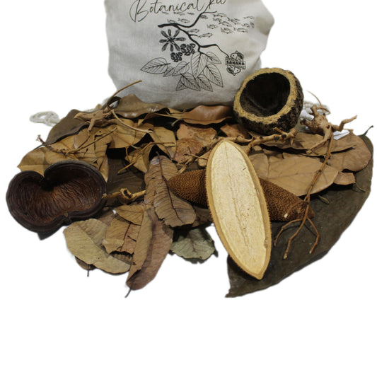 Corydora Pack | Sakana Botanicals