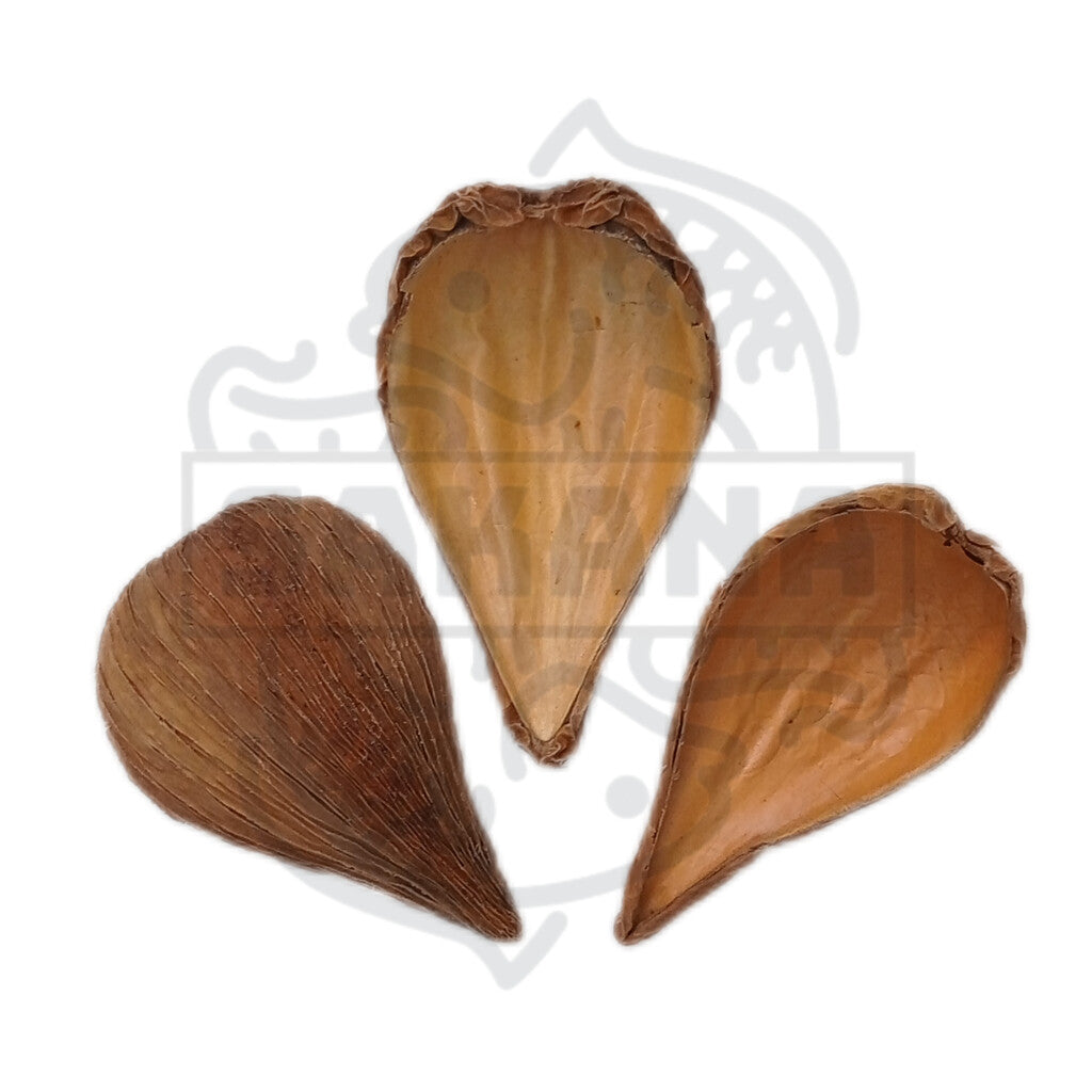 Dragea - pack of 3 units 