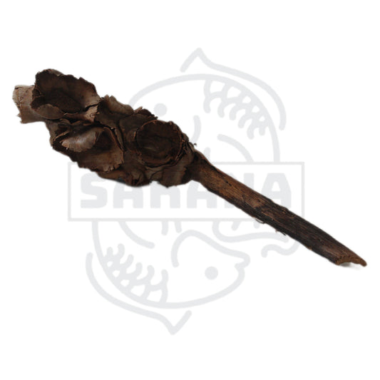 Flower Palm XL - 1 unidad