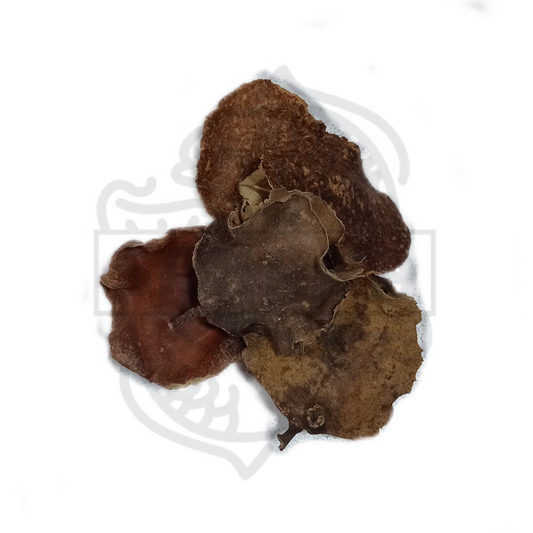 Jacaranda - pack de 5 unidades