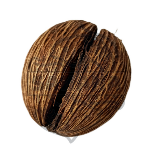 Mintola Coconut - 1 unidad