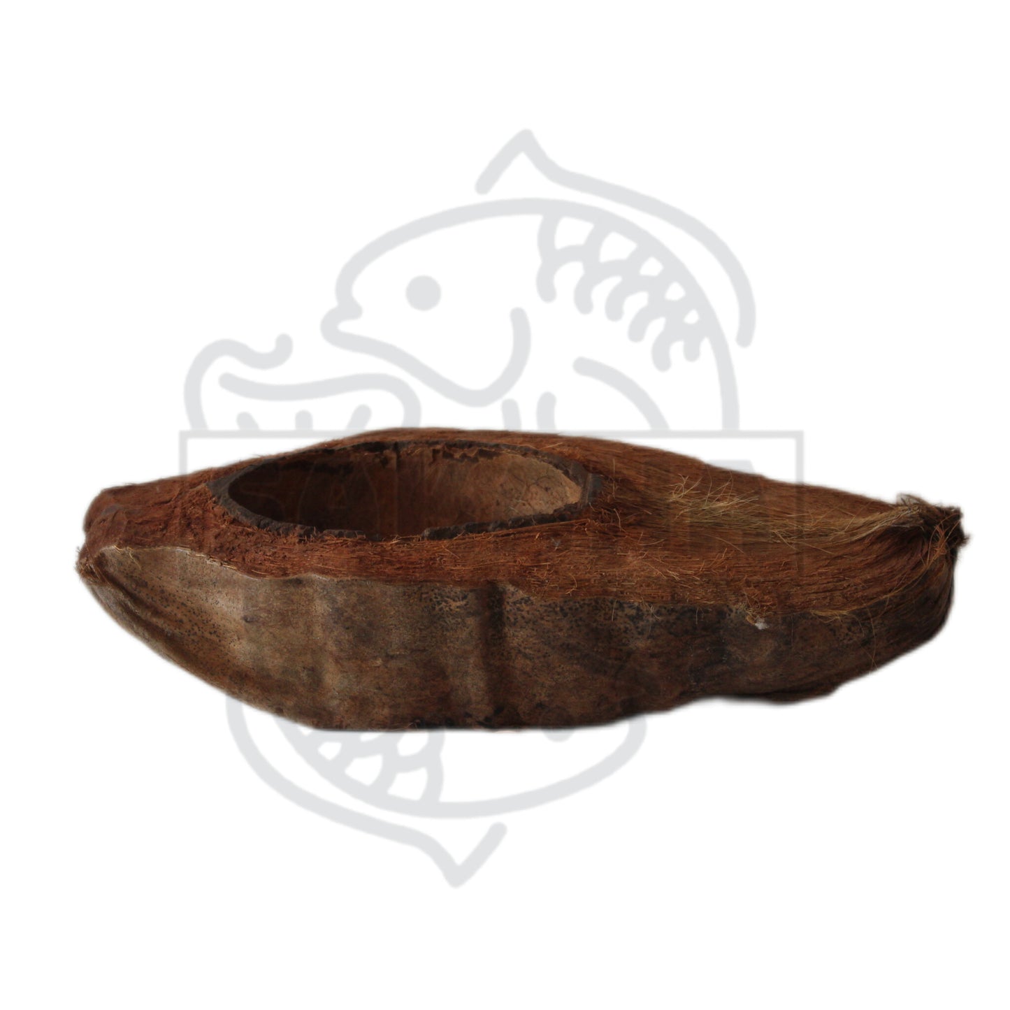 Natural Coconut XL - 1 unidad