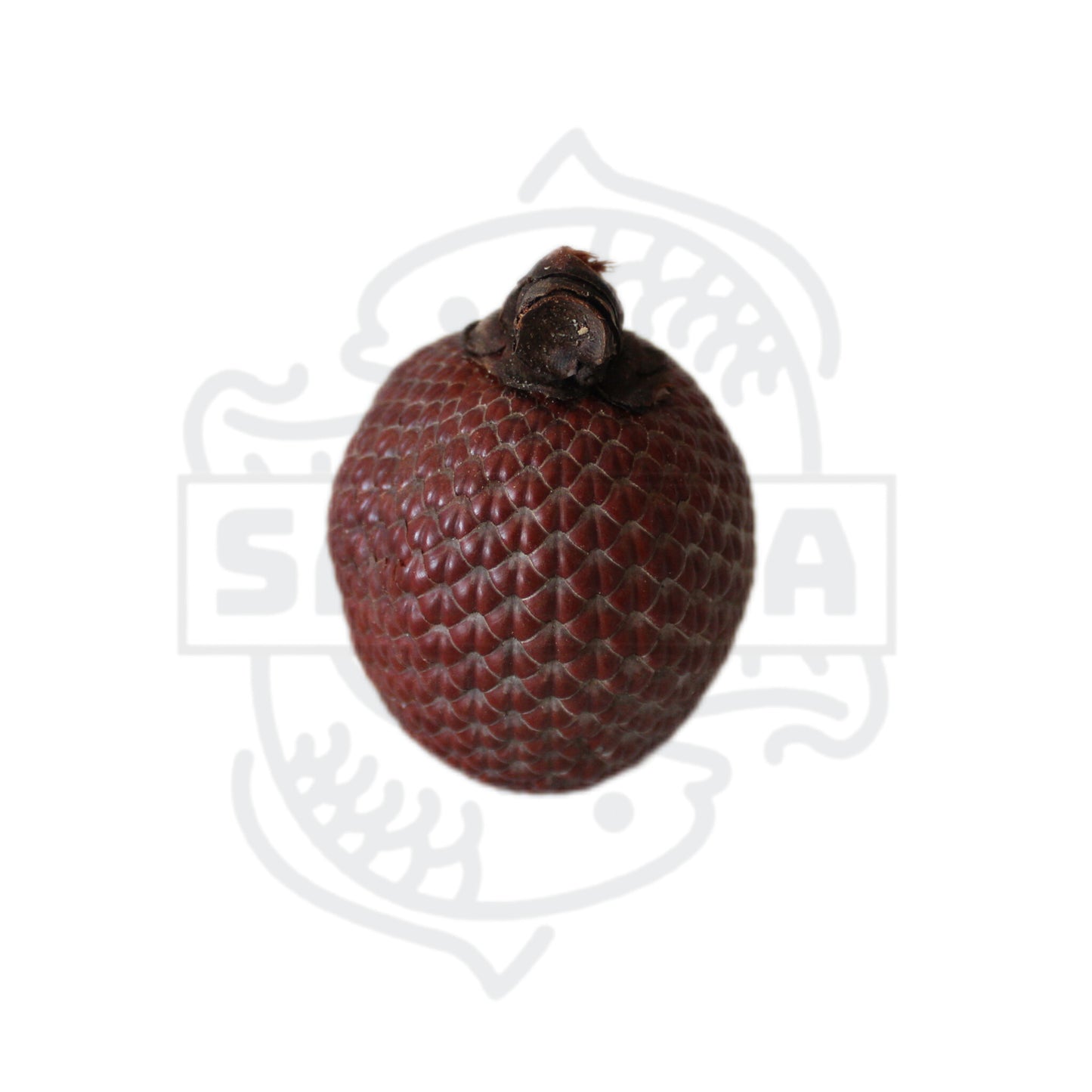 Larinja Nut - 1 unit 