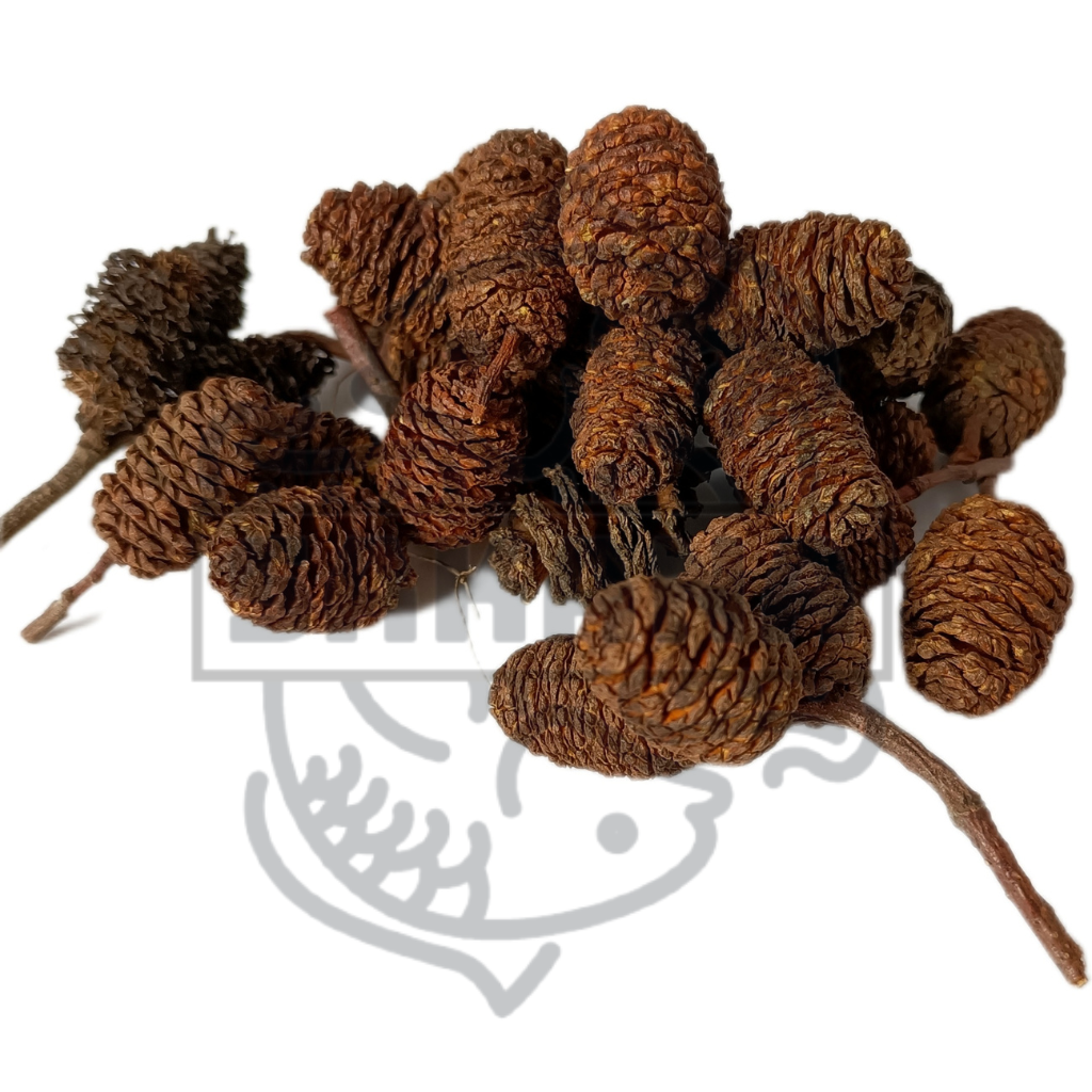 Alder pineapple - pack of 25 and 50 gr 