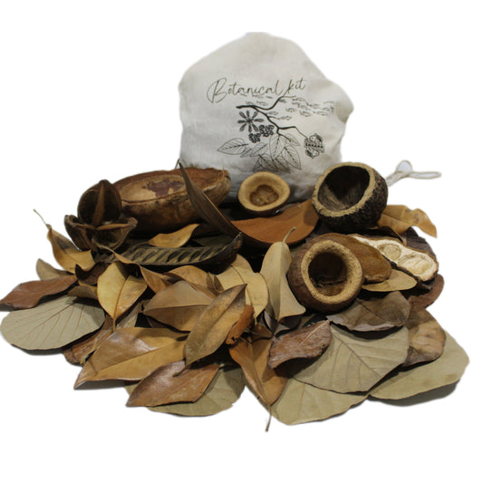 Pleco Pack | Sakana Botanicals