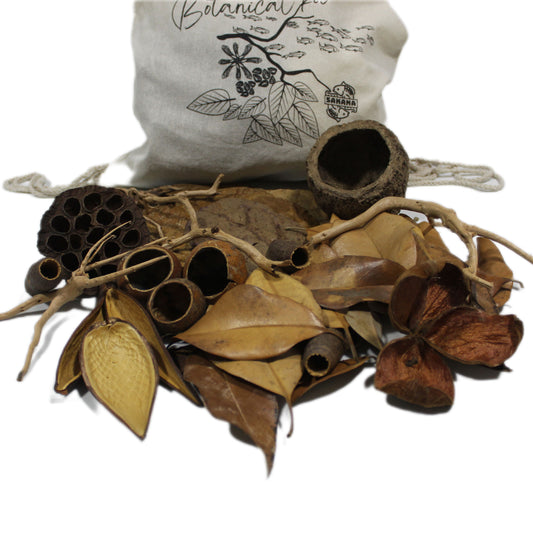 Starter Pack | Sakana Botanicals