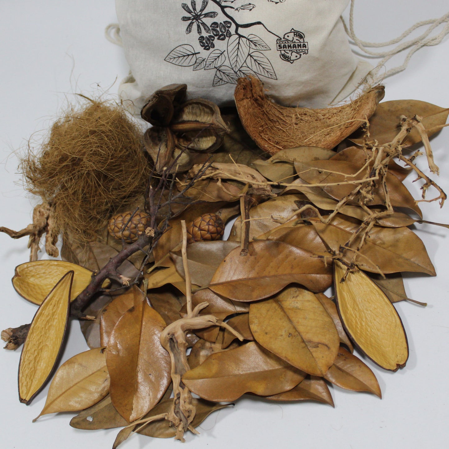 Tetrafish Pack | Sakana Botanicals